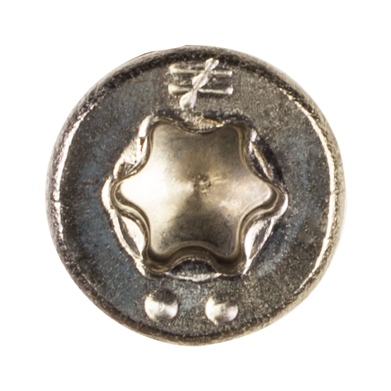DWP Trim Head Wood Screw - Star Drive