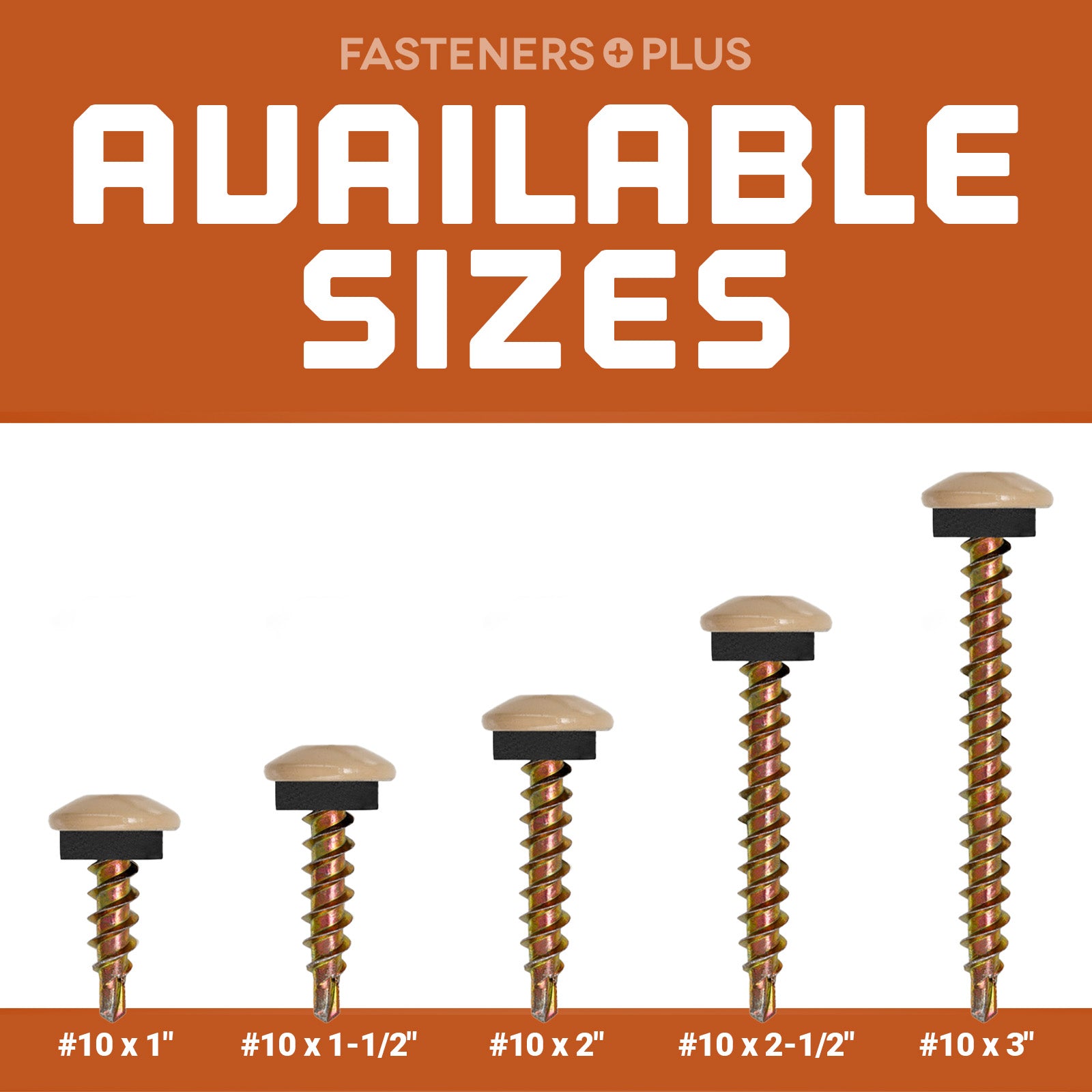 Multiple Sizes Available