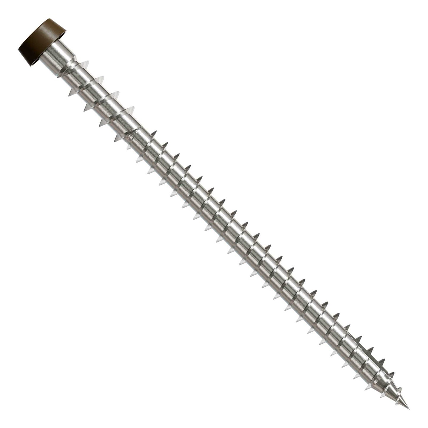 Metal screw with a brown head on a white background