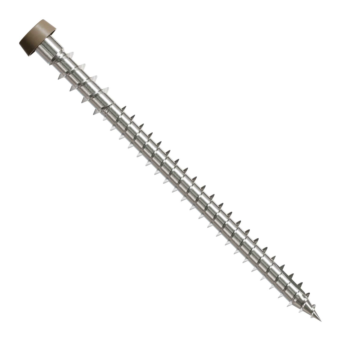 Metal screw with a threaded shaft and brown head on a white background