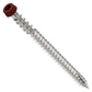 Metal screw with a red head on a white background