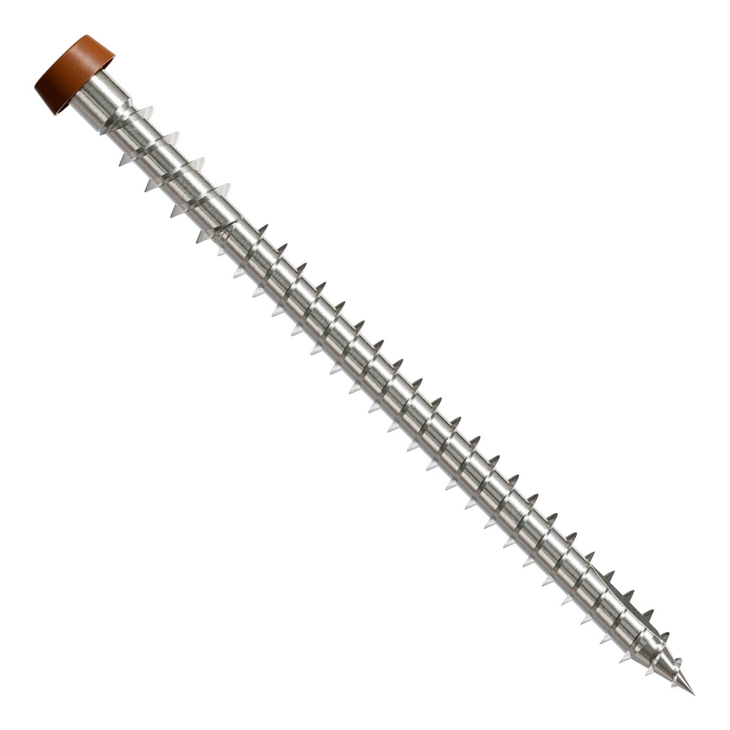 Metal screw with a brown head on a white background