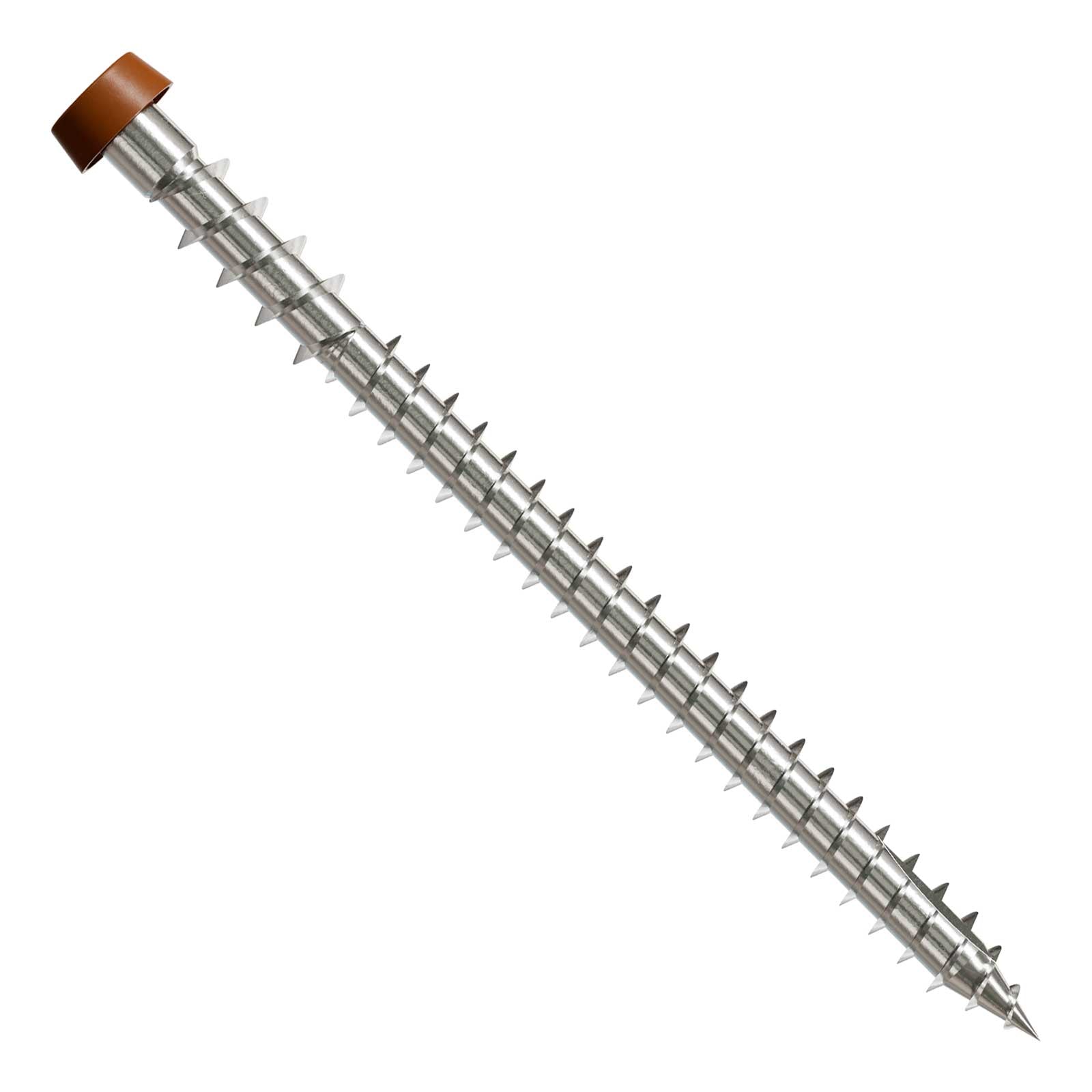 Metal screw with a brown head on a white background