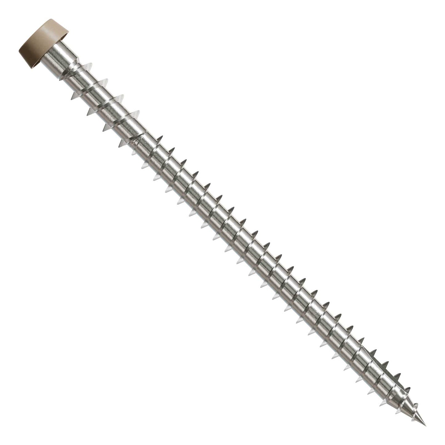 Metal screw with a tan head on a white background