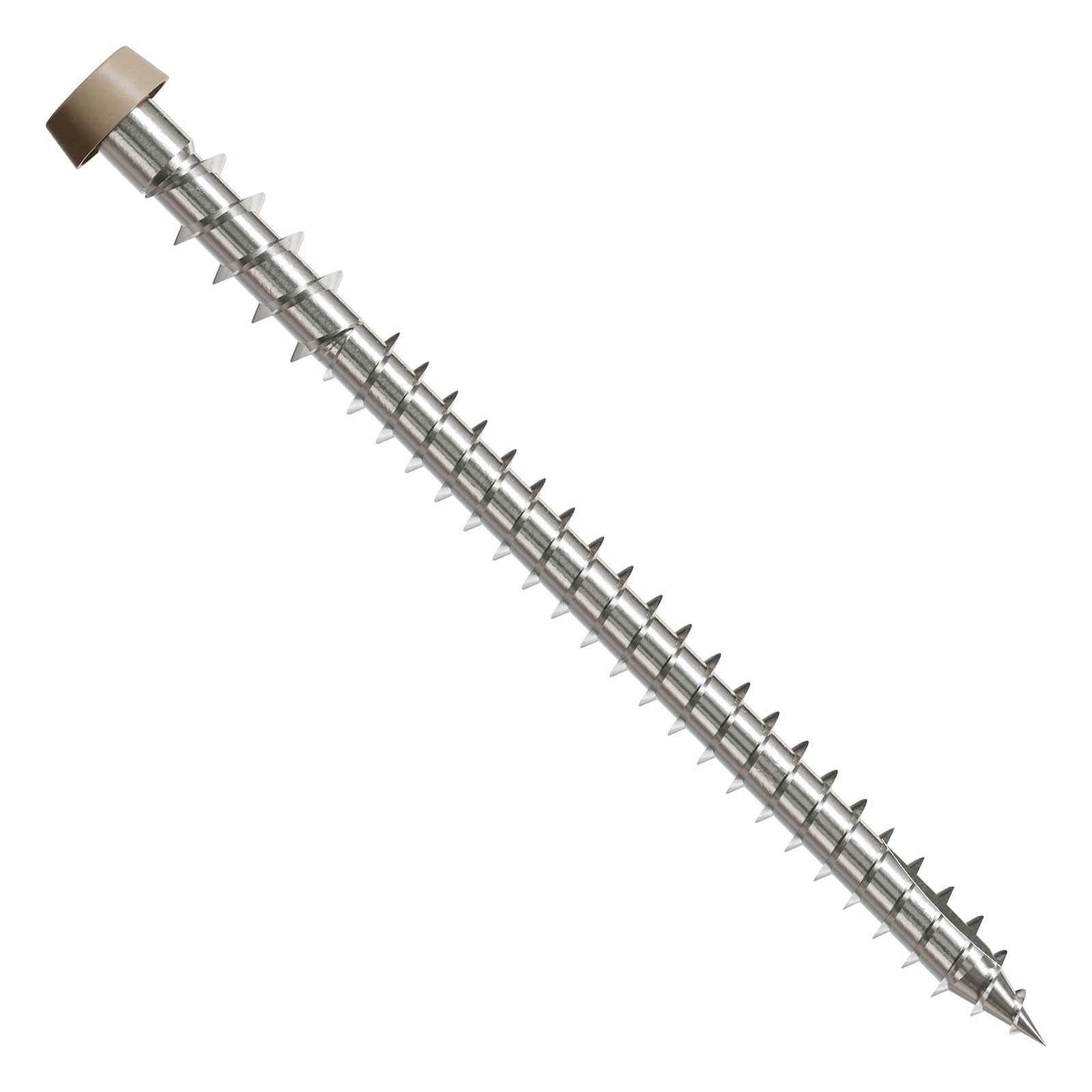 Metal screw with a tan head on a white background