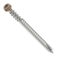 Metal screw with a tan head on a white background