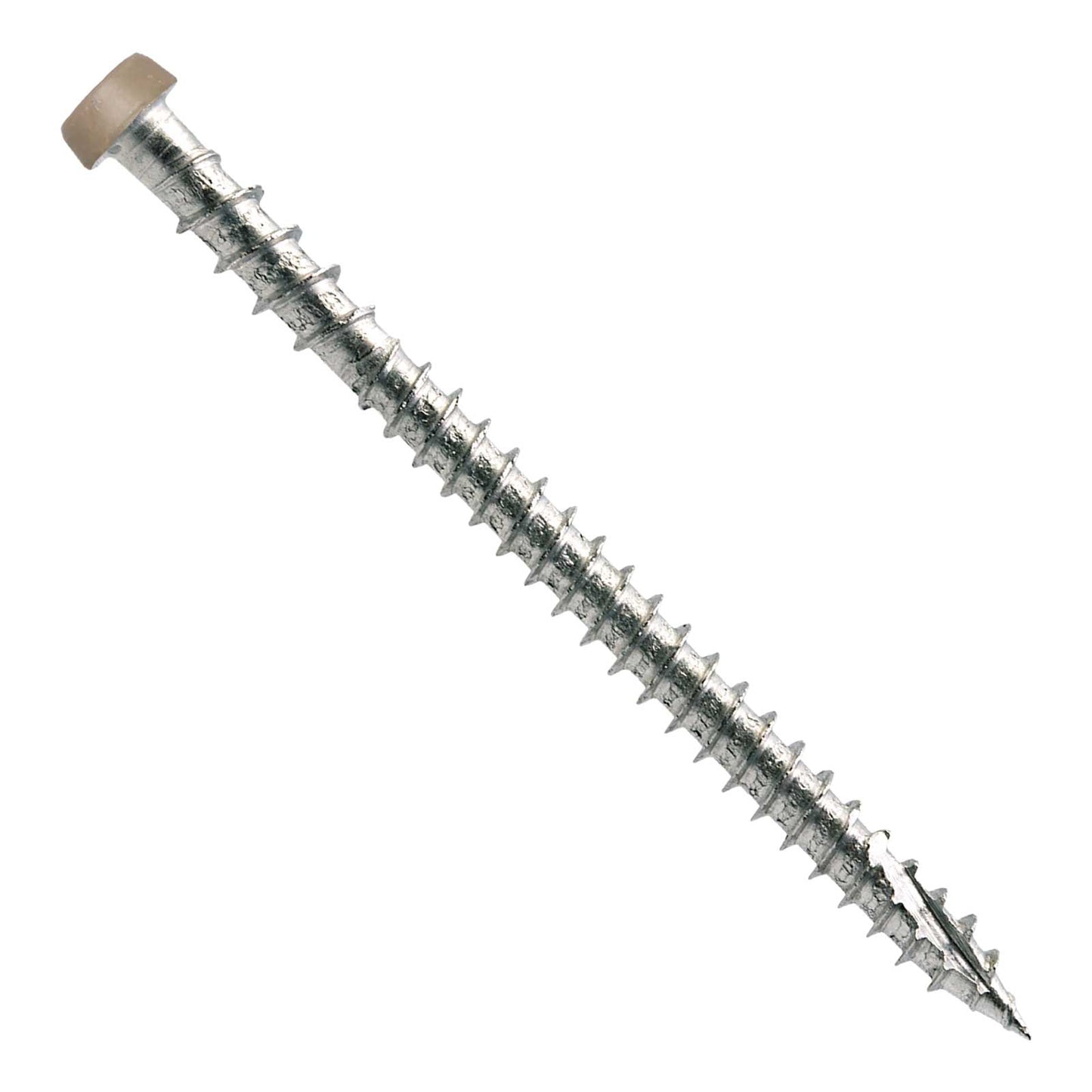 Metal screw with a tan head on a white background