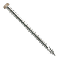 Metal screw with a tan head on a white background