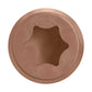 DCU composite screw - Tan 03