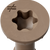 Bronze screw with star-shaped center on a white background