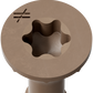 Bronze screw with star-shaped center on a white background