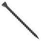 Black screw on a white background