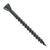 Black screw on a white background