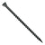 Black screw on a white background