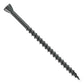 Black screw on a white background