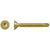 Gold-colored screw on a white background