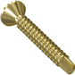 Gold screw on a white background