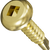 Gold screw on a white background