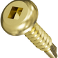 Gold screw on a white background