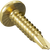 Gold screw on a white background