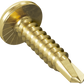 Gold screw on a white background