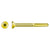 Gold-colored screw on a white background