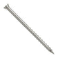 Metal screw on a white background