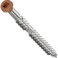 Screw with brown head on a white background