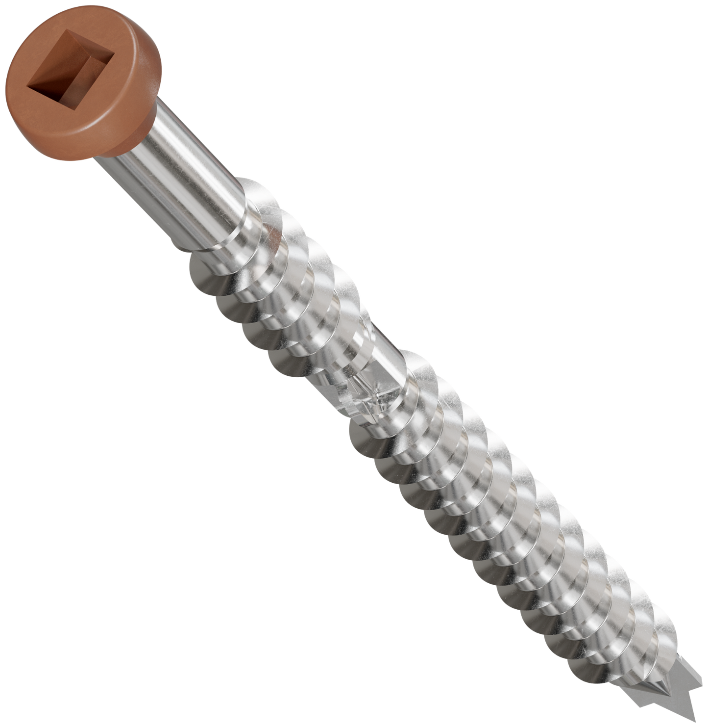 Screw with brown head on a white background