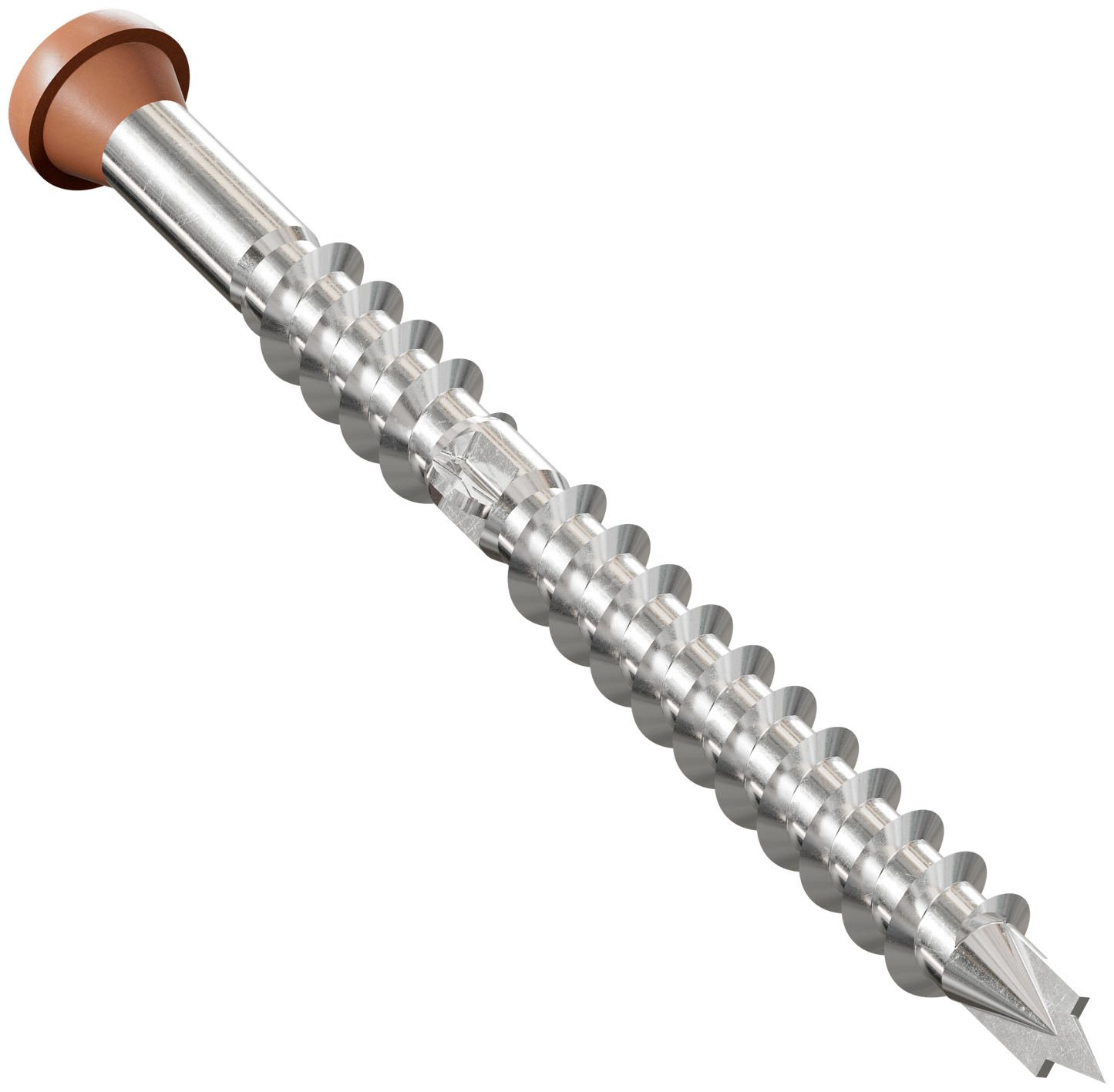 Metal screw with a wooden head on a white background