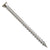 Metal screw on a white background