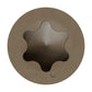 6-lobe head detail