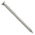 Metal screw on a white background