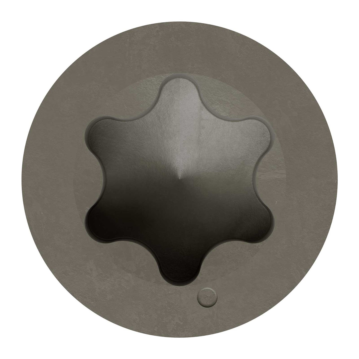 6-lobe drive 