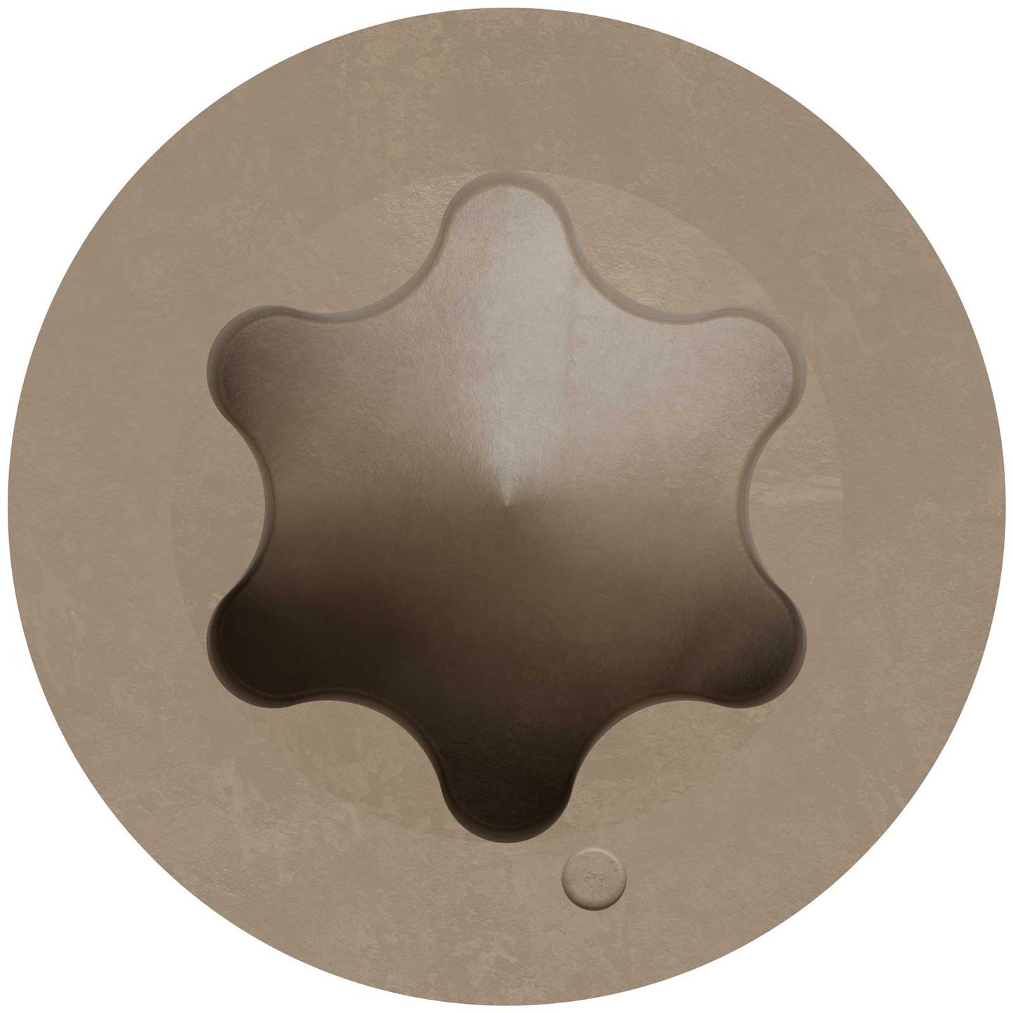 6-lobe head detail
