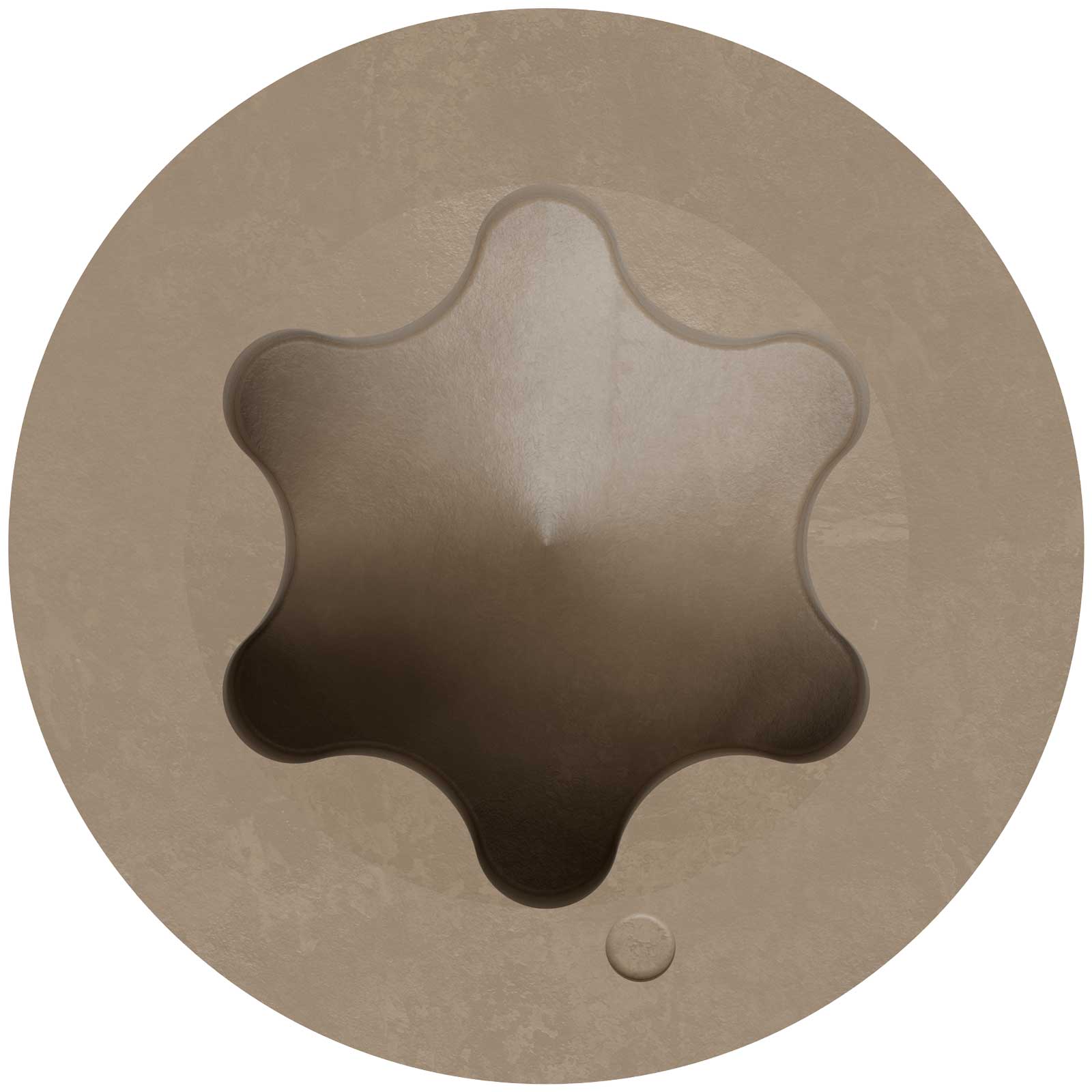 6-lobe head detail