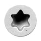 #7 x 2-1/4" 6 Lobe Drive Trim Head Wood Screw - 305 Stainless Steel, White, 1750 Pkg