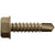 Brown screw on a white background