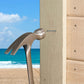 Finishing Nail - 316 Stainless Steel - Marine Installation