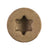 Simpson DSVT Tan Wood Screw