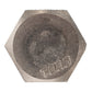 1/2"-6 x 1-1/2" Conquest Hex Head Lag Bolt for Wood - 304 Stainless Steel