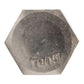 1/2"-6 x 3-1/2" Conquest Hex Head Lag Bolt for Wood - 304 Stainless Steel