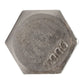 5/16"-9 x 4-1/2" Conquest Hex Head Lag Bolt for Wood - 304 Stainless Steel