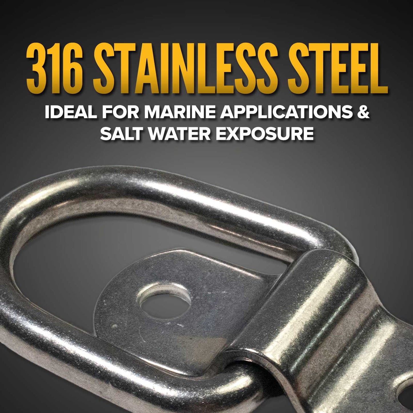 1" Bolt-On D-Ring with Mounting Bracket - 316 Stainless - 800 lbs. BS | 50-Pack