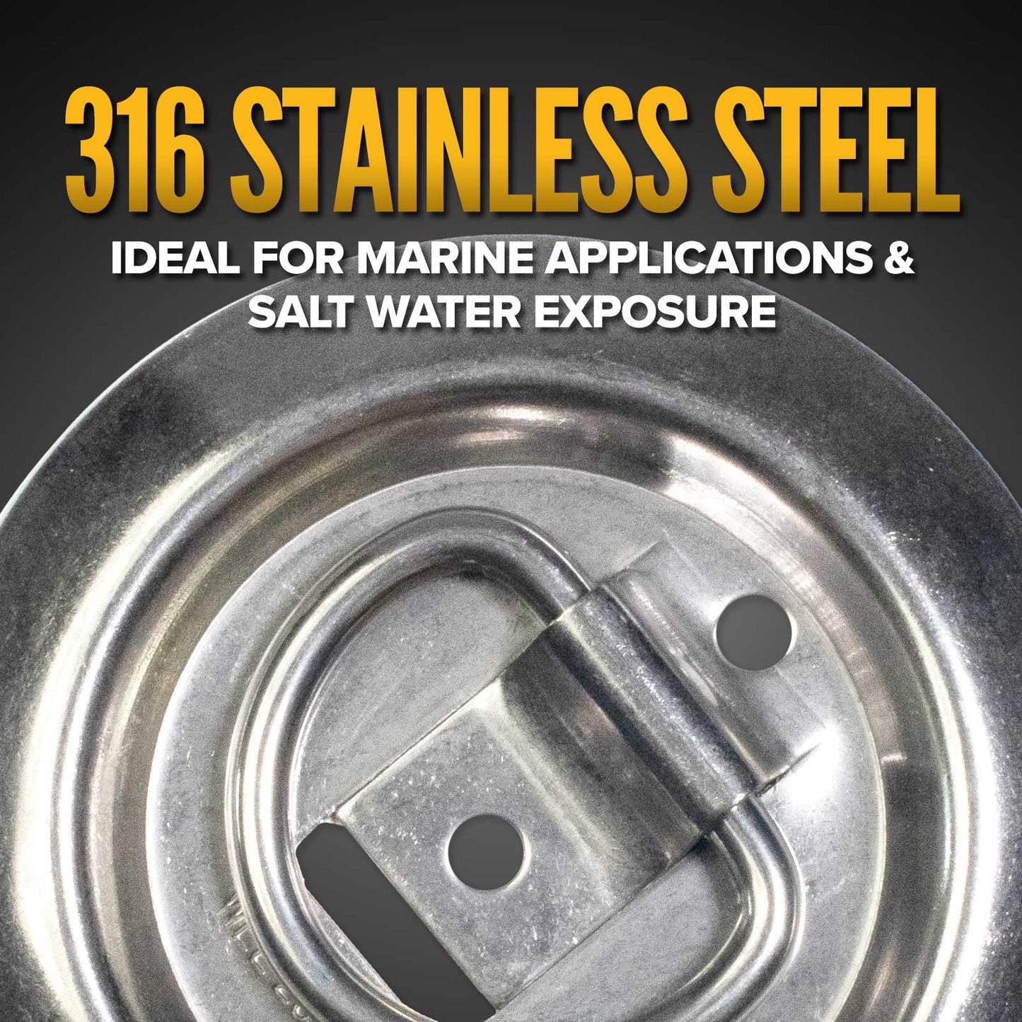 Bolt-On Flush-Mount D-Ring - 316 Stainless - 800 lbs. BS | 4-Pack