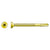 Gold-colored screw on a white background
