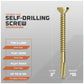Gold self-drilling screw with specifications on a gray background