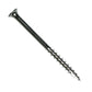 #8 x 2-1/2" #2 Square Drive Bugle-Head Wood Screw - 305 Stainless Steel, 2000 Pkg