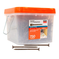 Clear plastic container with orange lid labeled '750 screws' featuring Simpson Strong-Tie framing screws on a white background.
