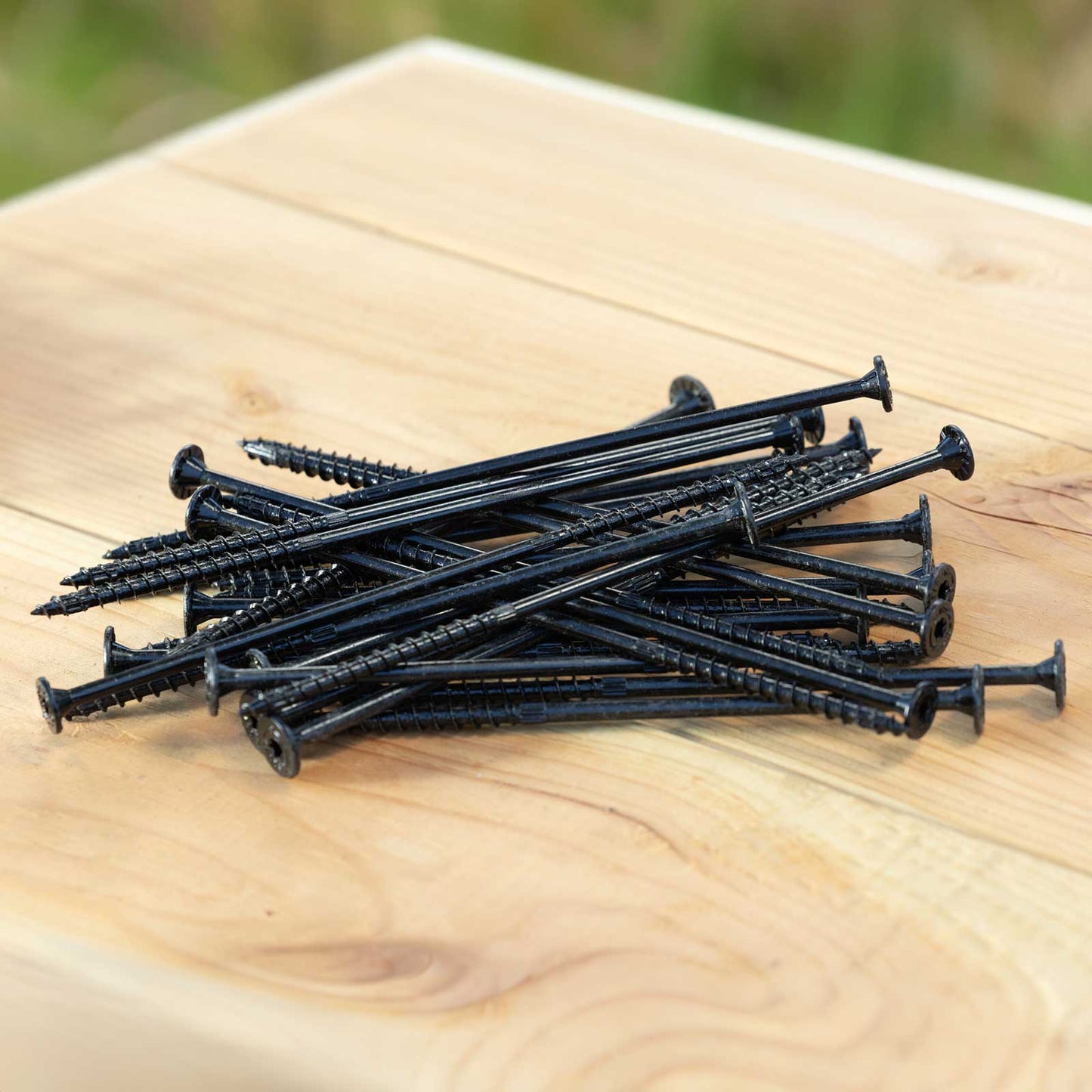 group of SDWS DBB timer screws black